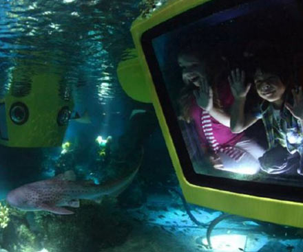 Submarine Adventure
